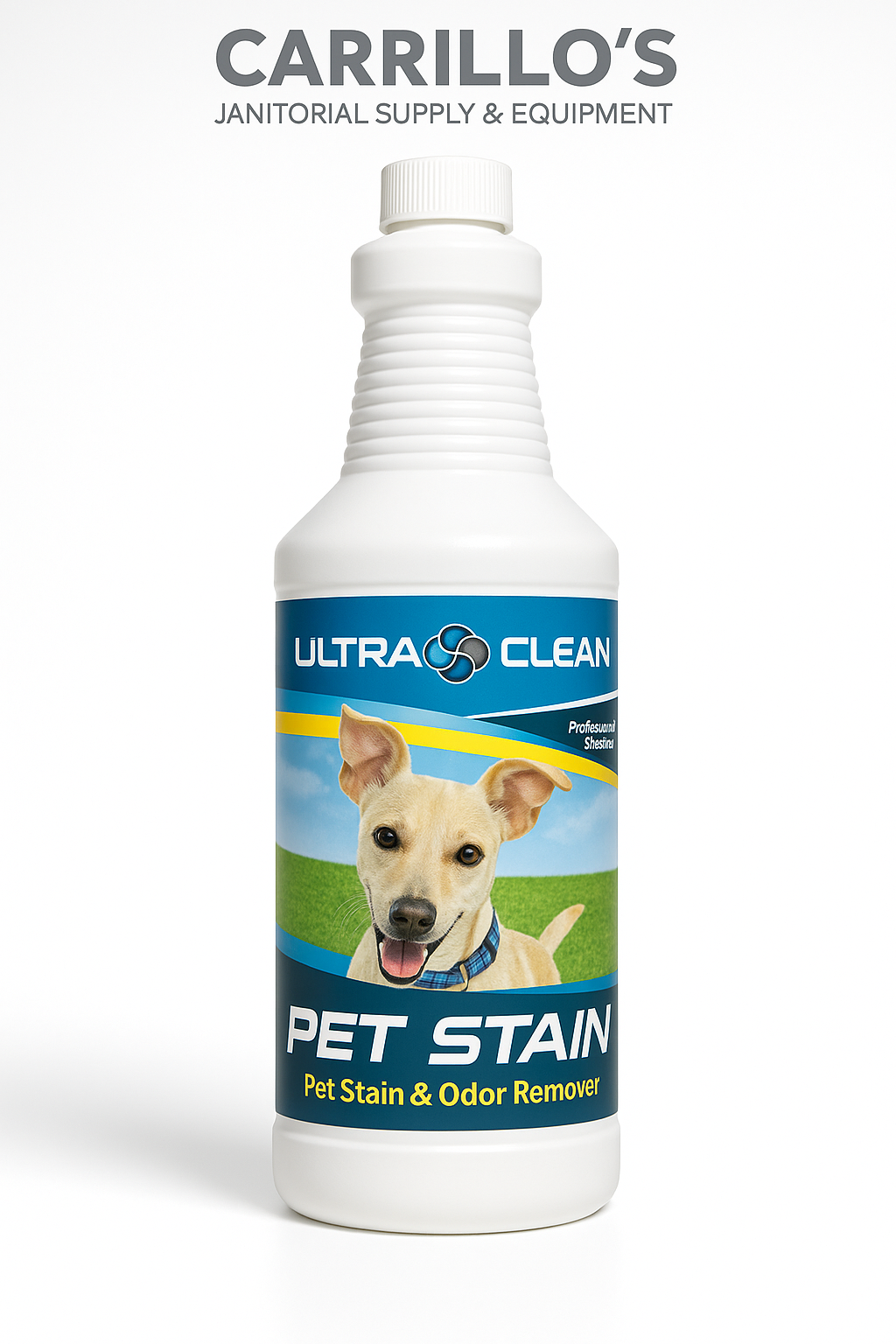 PET STAIN & ODOR REMOVER CASE OF 12 AND SINGLES