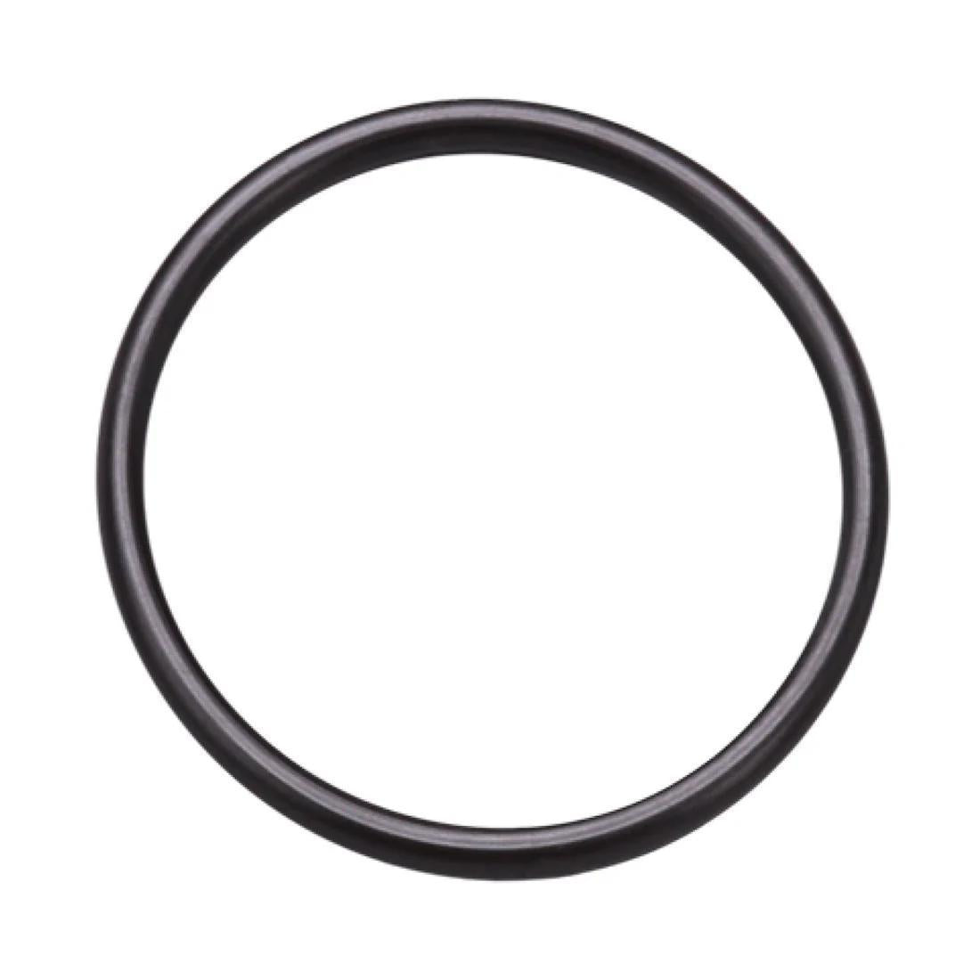 PWP O-Ring for RO Housing